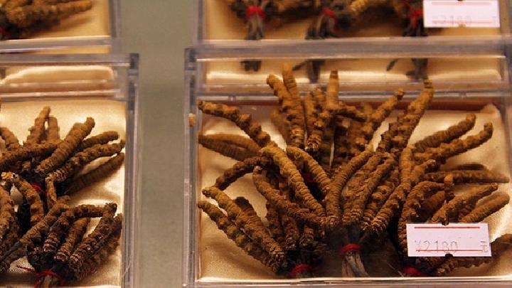男性壮阳药什么药最好